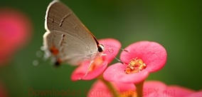 支付宝担保的简单轰炸机